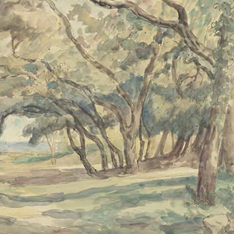 Watercolor of forest